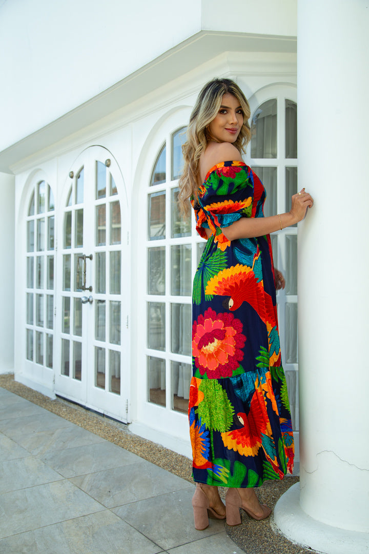 Vestido Papagaio