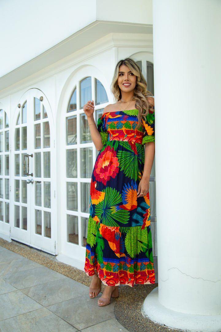 Vestido Papagaio